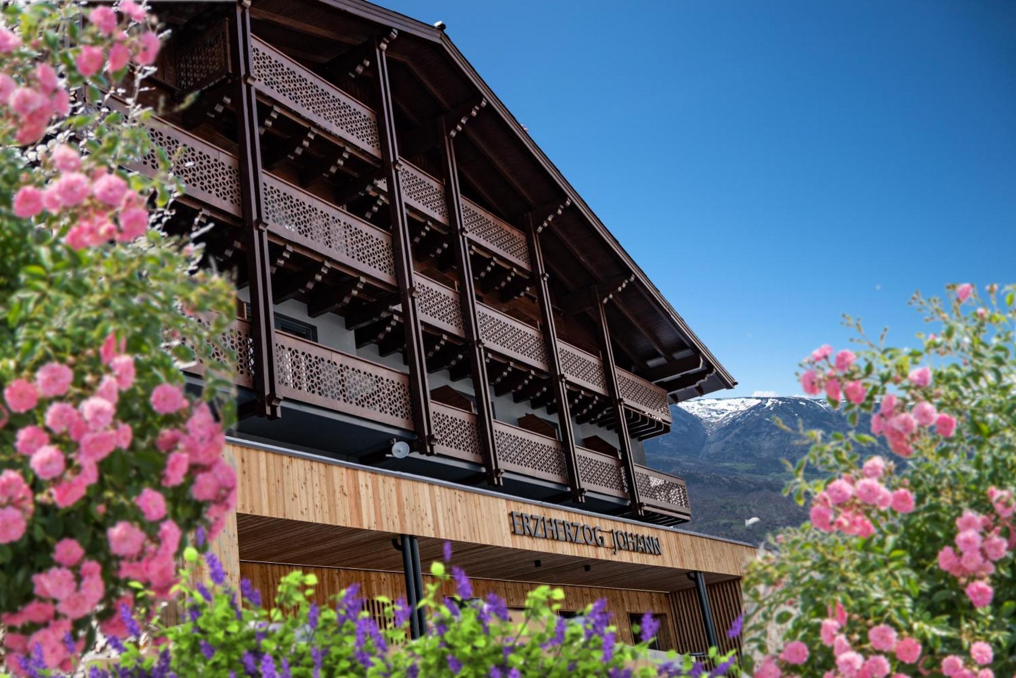 Erzherzog Johann Alpin Style Hotel - Adults Only 斯拉德明 外观 照片